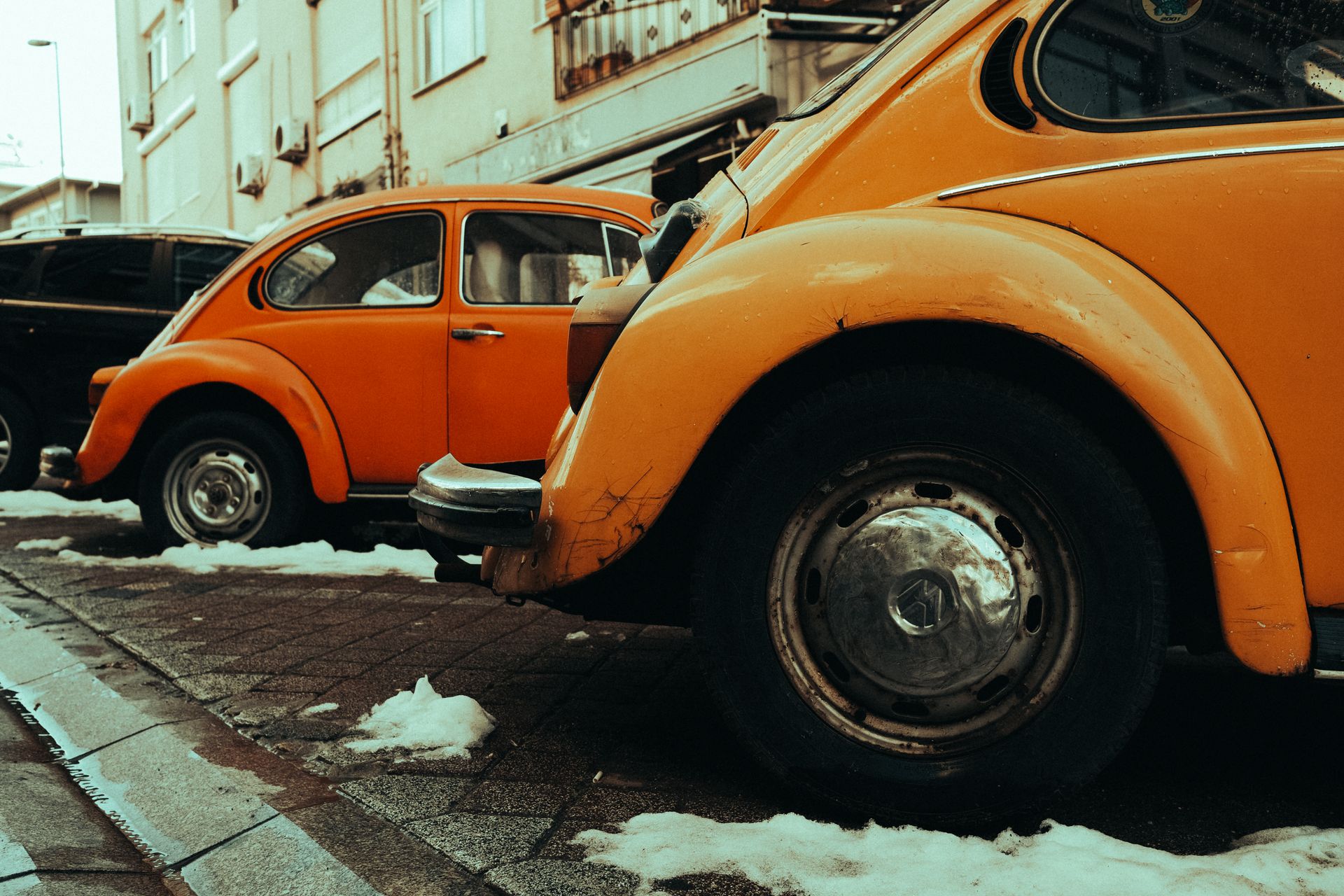 Rear Bumpers of Two Beetle Car