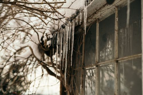 Free A close-up of icicles and bare branches outside a wintery window, capturing a serene cold ambiance. Stock Photo