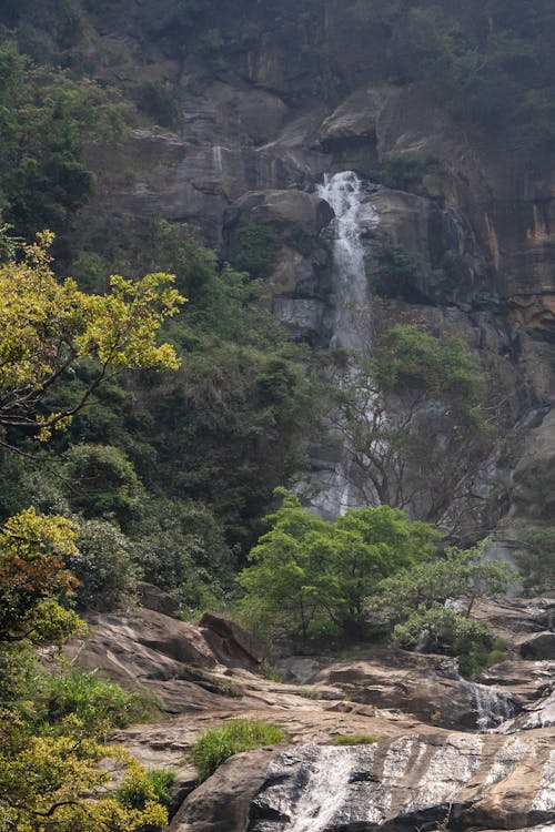 Free Scenic View of a Waterfall Stock Photo