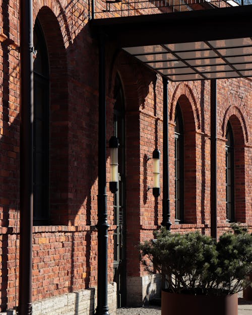 Potted Plant outside a Brick Building