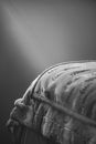 Grayscale Photo of a Bed Linen