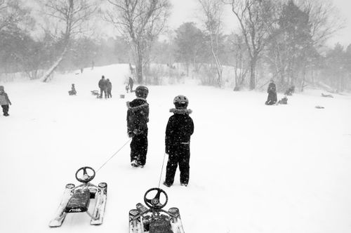 Free Kids enjoy sledding on a snowy hill during winter, surrounded by trees. Stock Photo