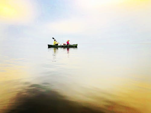 Free stock photo of boat, fish, fishing