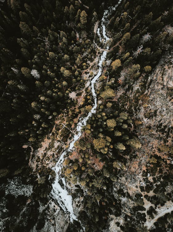 Aerial Footage of River between Trees