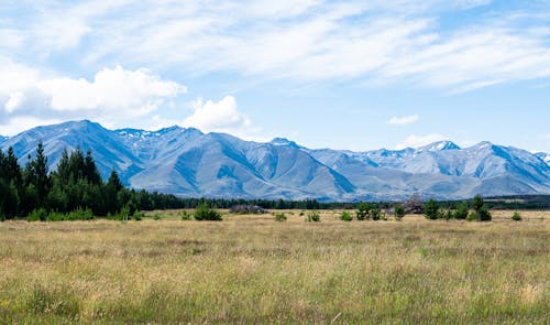 Ücretsiz alan, çim, dağ içeren Ücretsiz stok fotoğraf Stok Fotoğraflar