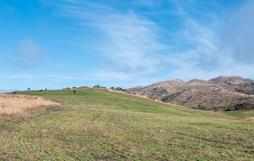 山丘, 景觀, 田 的 免費圖庫相片