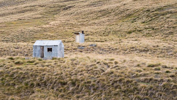 Shed and Privy