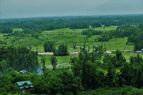 View of a Rural Landscape