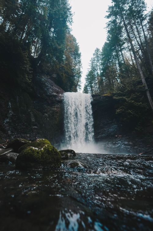 Free Mossy rocks and tall trees surround a cascading waterfall in the forests of British Columbia, Canada. Stock Photo