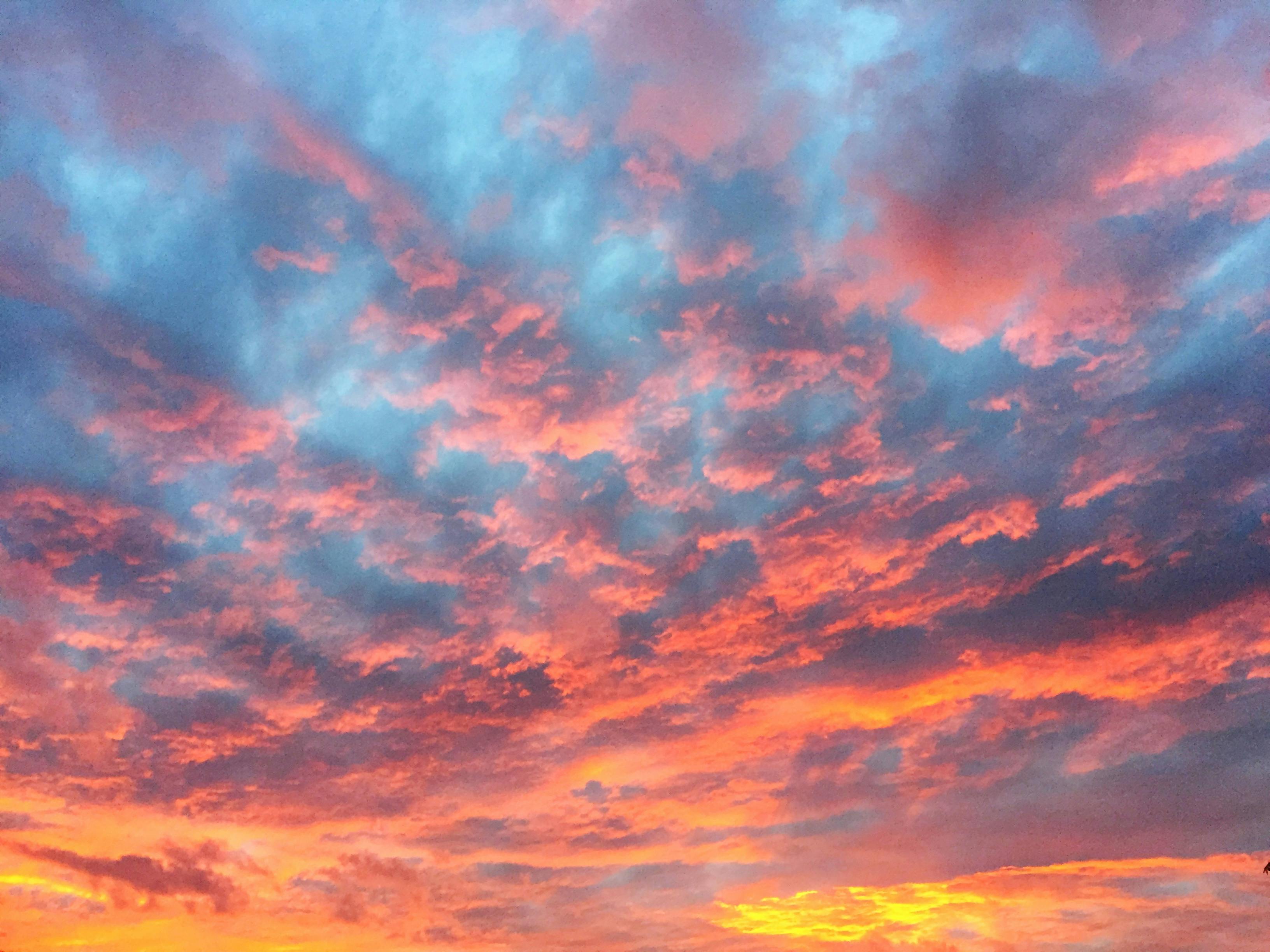 Free stock photo of clouds, sunset