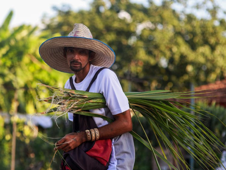 A Man Wearing A Straw Hat Carrying Green Leaves Under His Arm