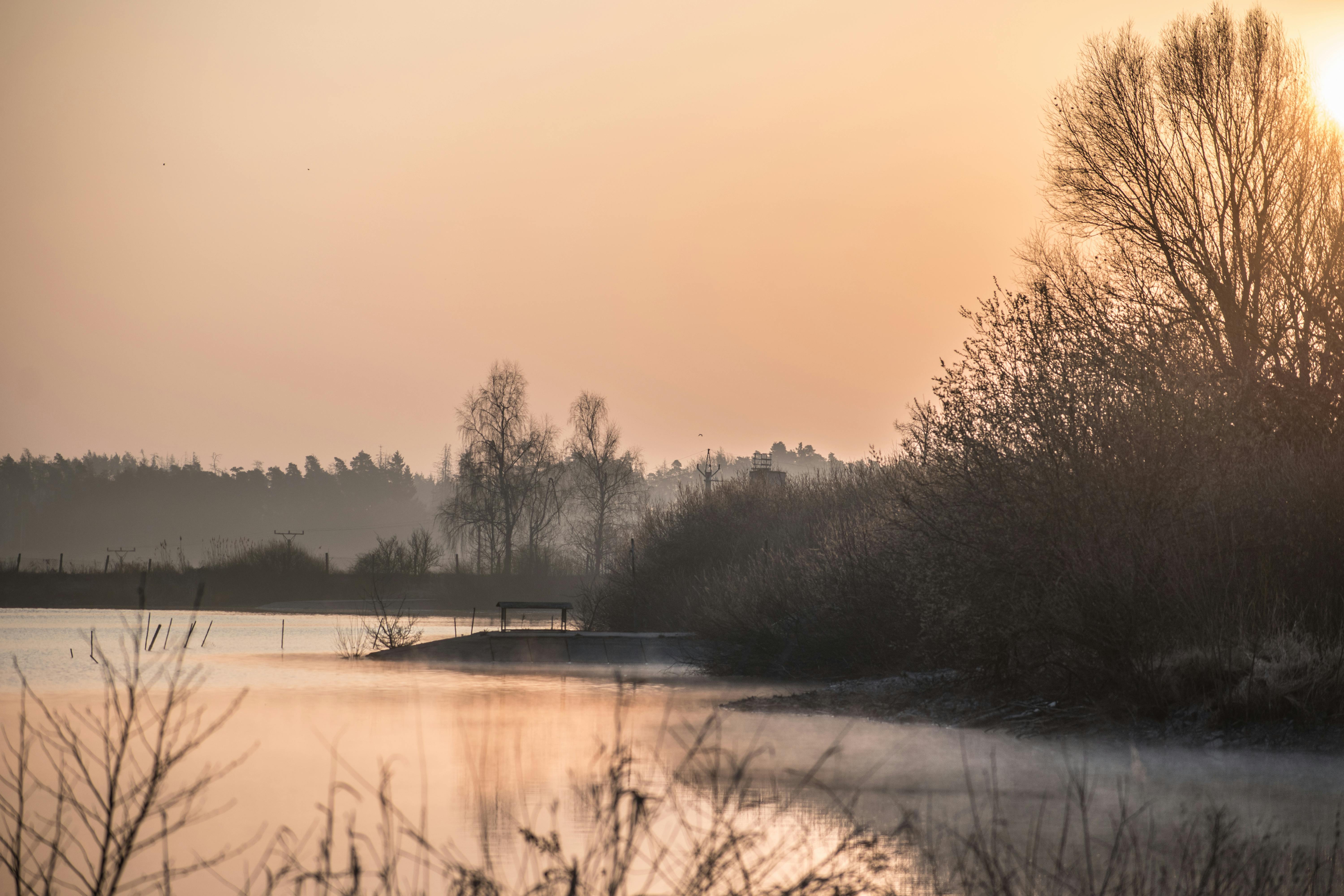 body of water near trees during sunset