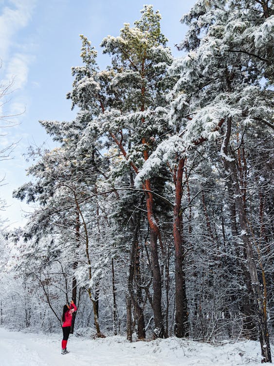 A Person in Red Jacket Standing Near Snow Covered Trees