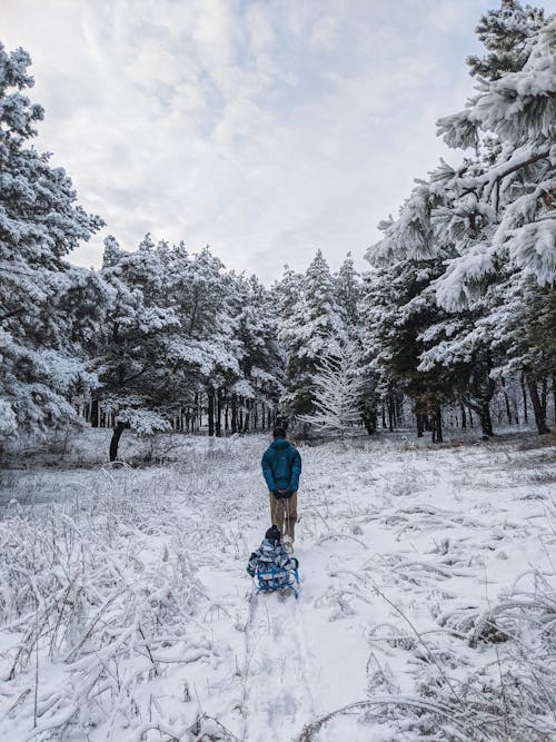Free Person in Blue Jacket and Blue Pants Standing on Snow Covered Ground Near Trees Stock Photo