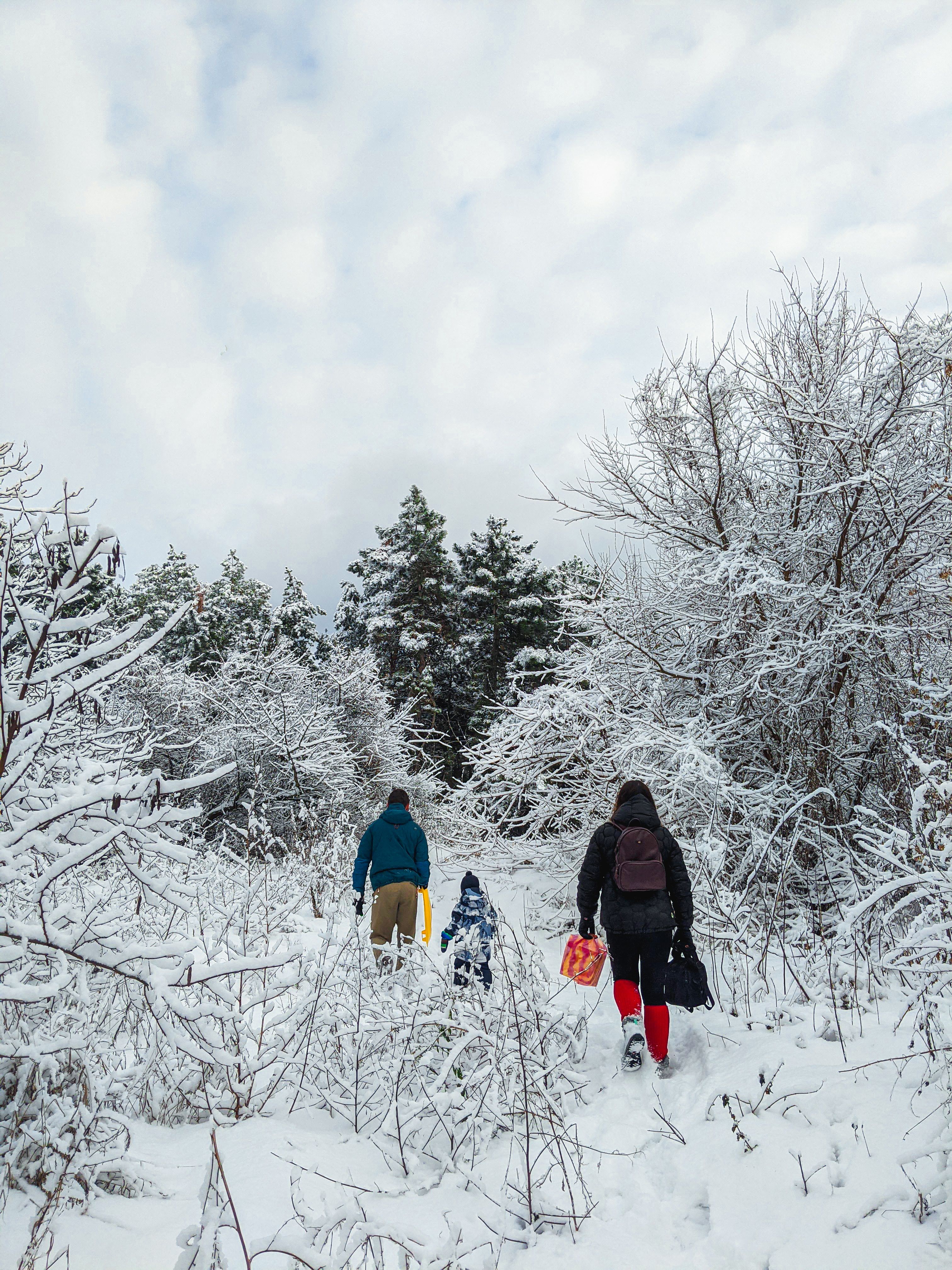 Back View of Persons Walking on Snow Covered Ground · Free Stock Photo