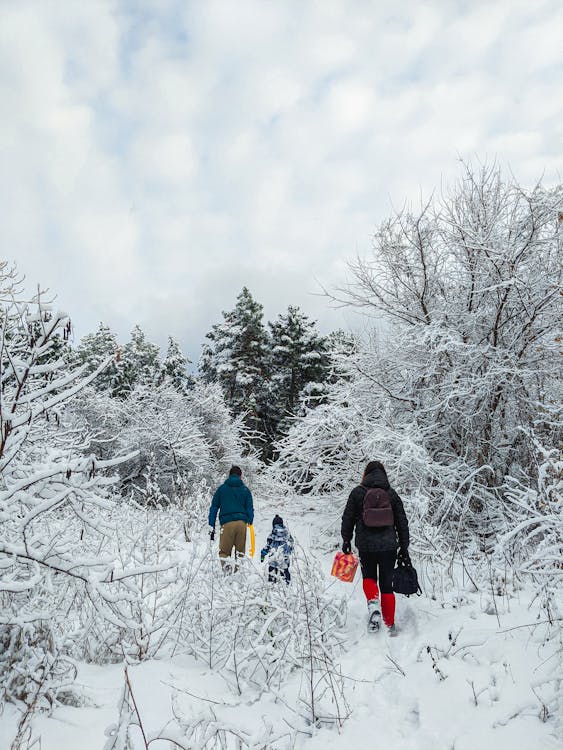 Back View of Persons Walking on Snow Covered Ground