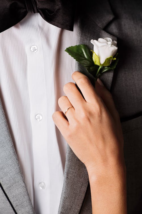 Free Person Holding White Rose Stock Photo