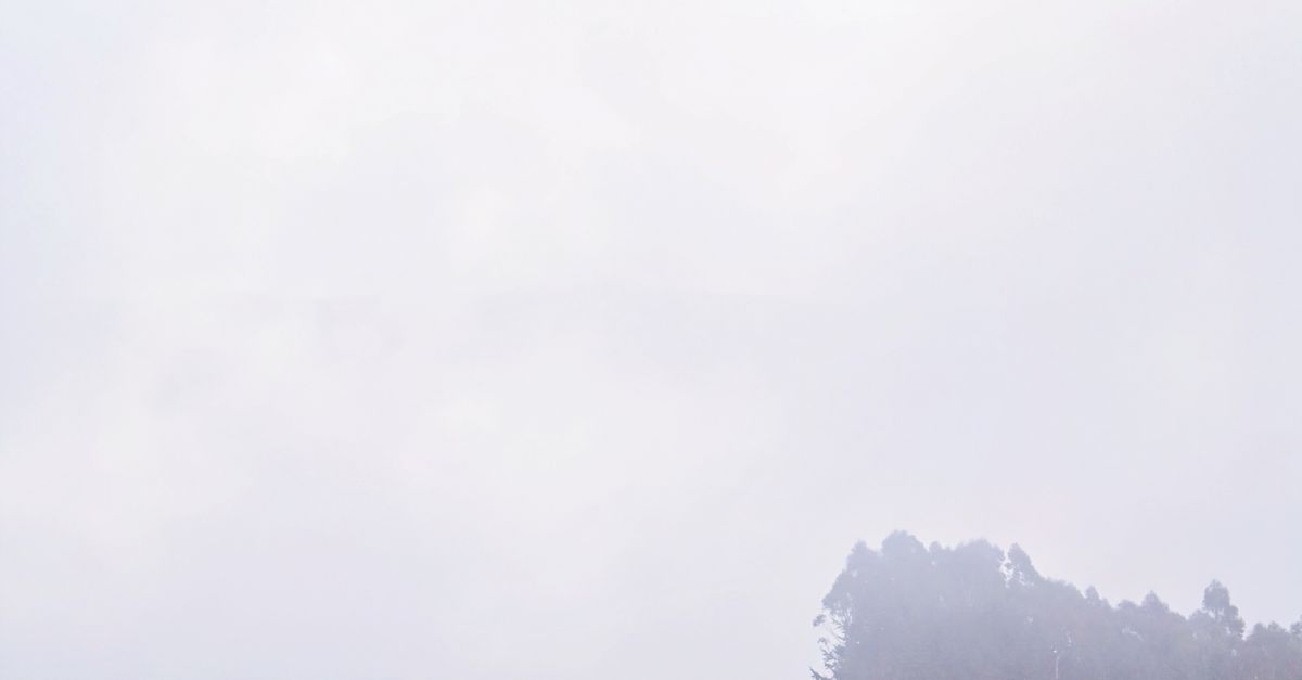 ¿Dónde ver niebla y bosques nubosos en zonas altas de El Salvador? ¿Dónde ver niebla y bosques nubosos en zonas altas de El Salvador?
