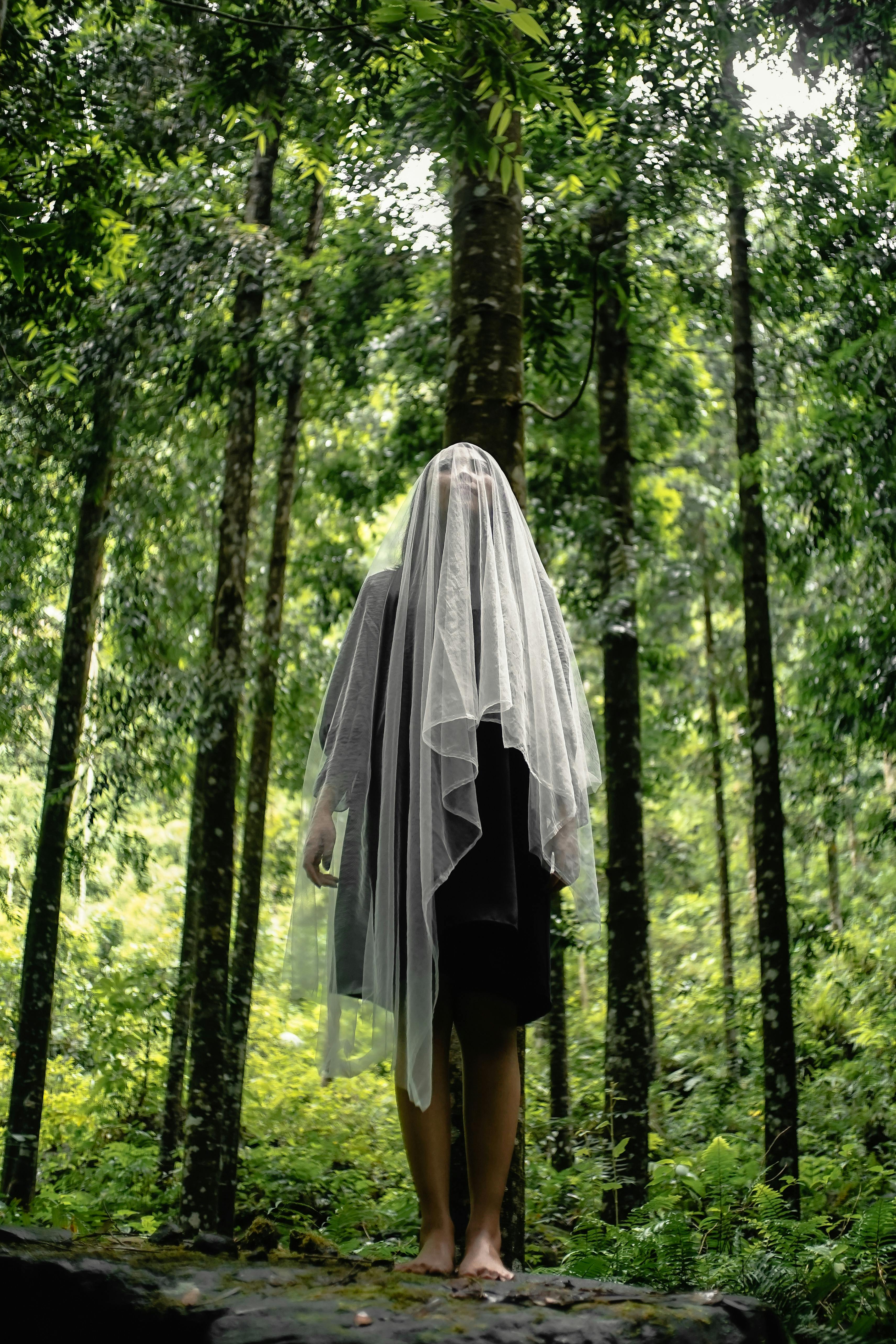 What is the strongest 2x4 wood?