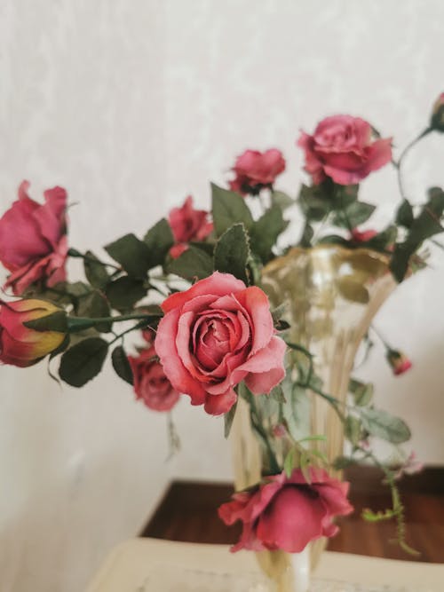 Free Pink Roses in Glass Vase Stock Photo