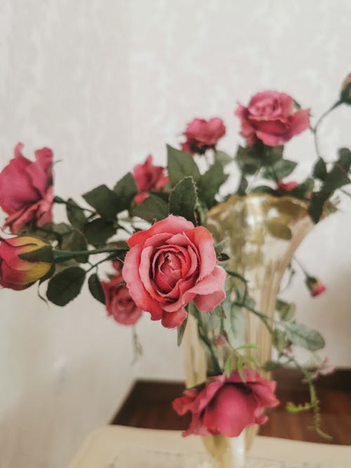 Pink Roses in Glass Vase