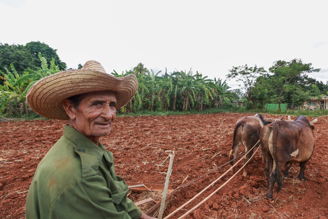 Δωρεάν στοκ φωτογραφιών με αγρόκτημα, αγρότης, αγροτικός
