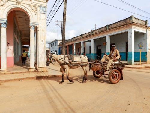 Man Riding in a Horse Carriage 