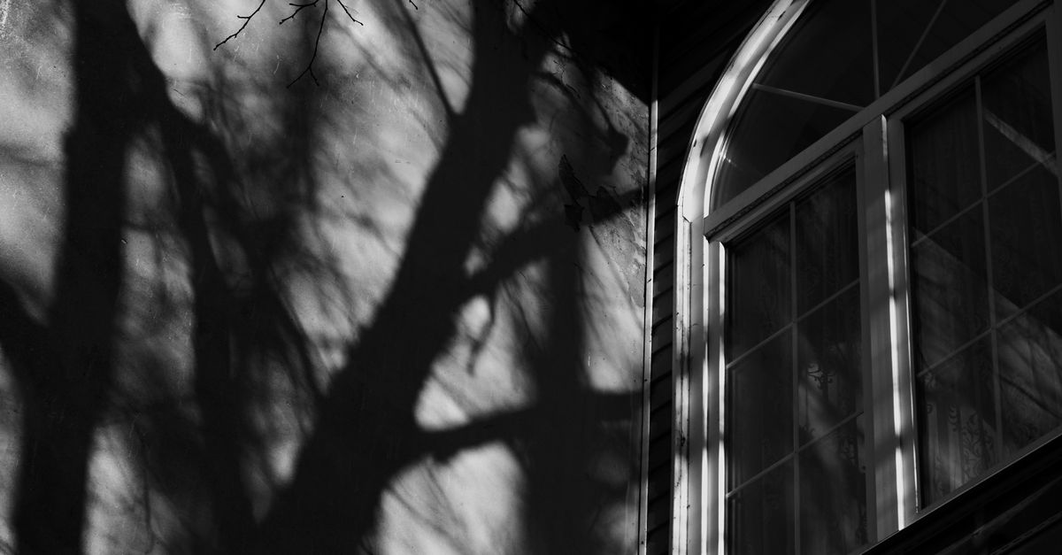 Trees Shadows on Building Wall · Free Stock Photo