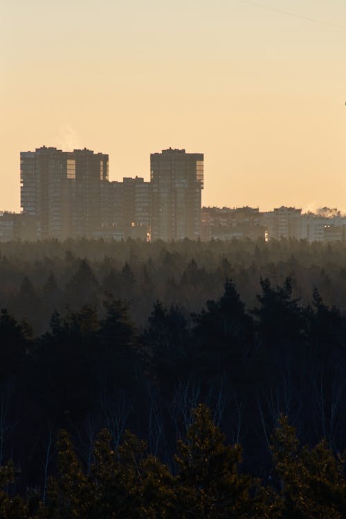 Silhouette of Buildings During Sunset