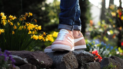 Free Person Wearing Pink Nike Low-top Sneakers Stepping on Stone Surrounded by Flower Stock Photo