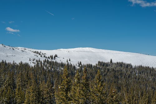 Winter Mountain Landscape