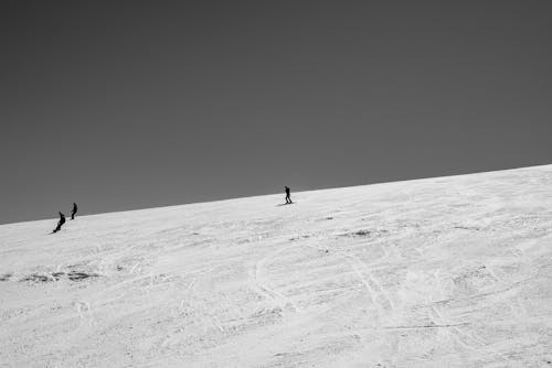 Grayscale Photo of People Snowboarding