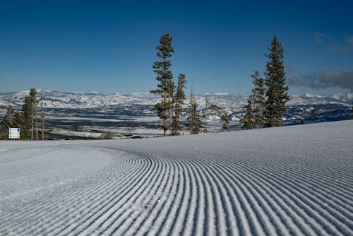 Agricultural Field in Winter 