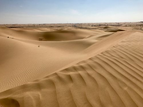 Free Explore the serene sand dunes of Al Ain under the bright desert sun. Stock Photo