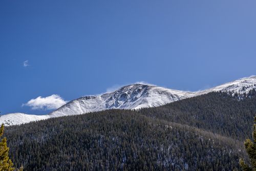 Free Stunning view of a snowcapped mountain with evergreen forests beneath a clear blue sky. Stock Photo