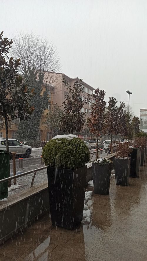 Free stock photo of heavy snow, heavy snowfall, snowy Stock Photo