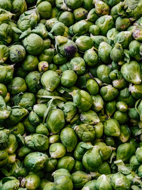 Free 
A Pile of Brussels Sprouts Stock Photo