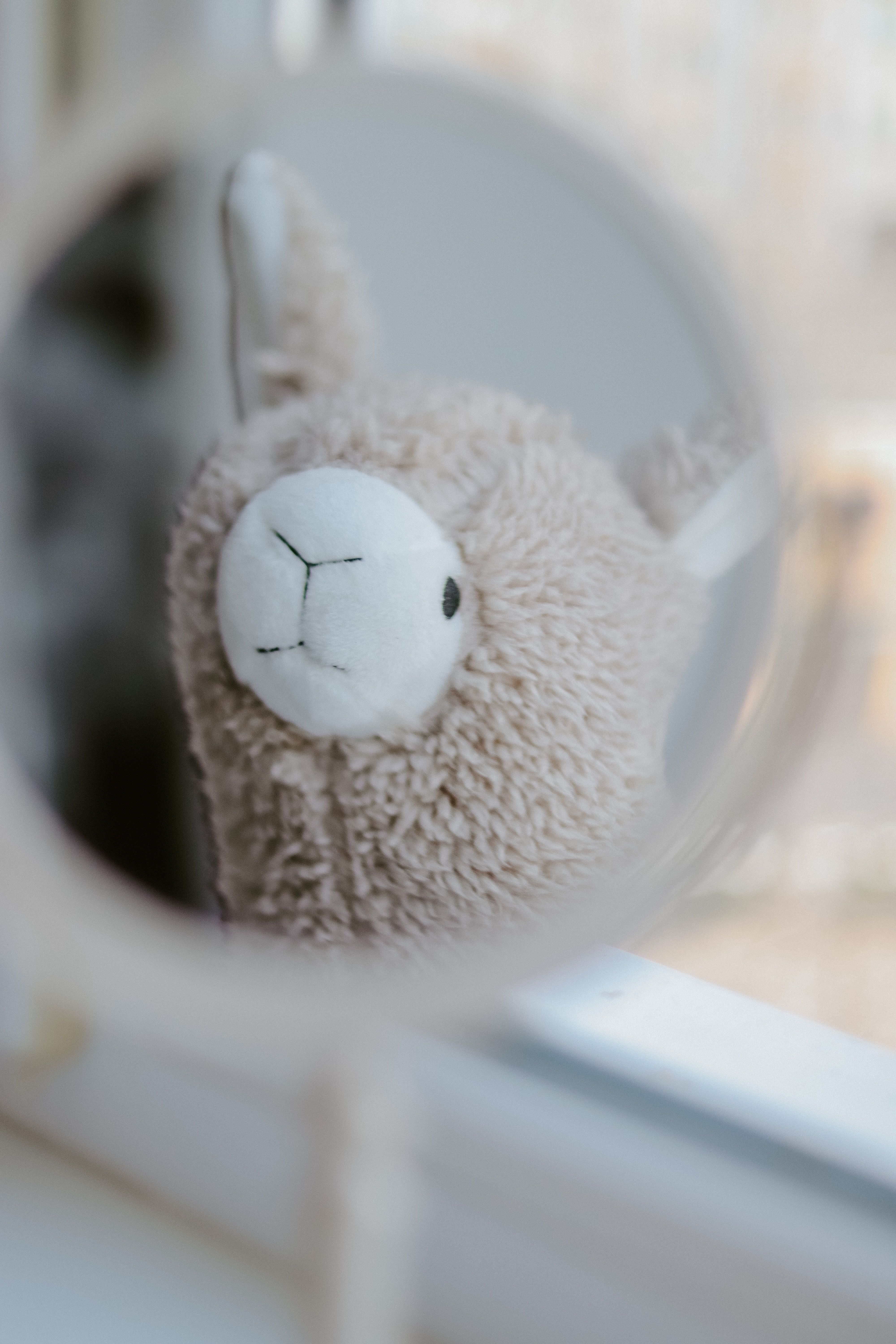 Close-up of a plush toy alpaca reflected in a round mirror by a window.