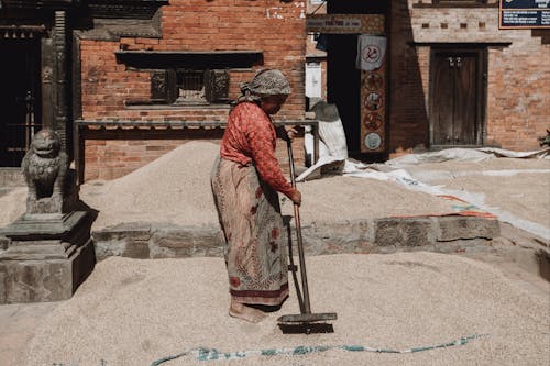Woman Drying Grain