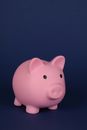 Pink Pig Ceramic Figurine on Blue Surface