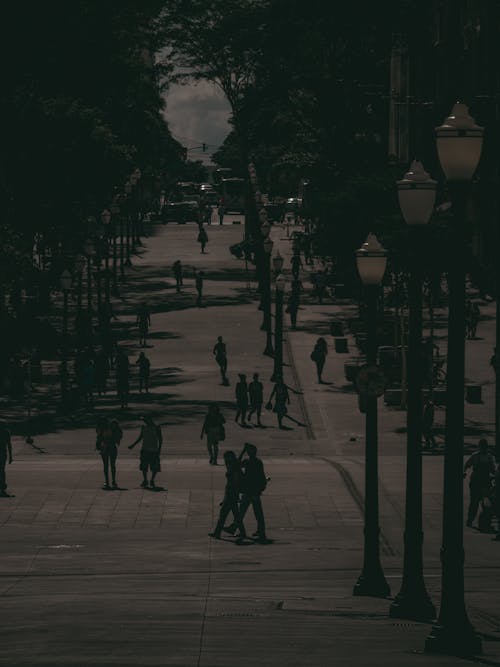 Foto d'estoc gratuïta de arbres, caminant, capvespre