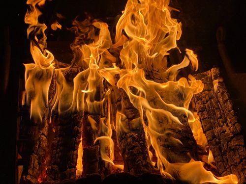 Free Close-up of intense flames consuming wooden logs, highlighting the warmth and energy of a blazing fire. Stock Photo
