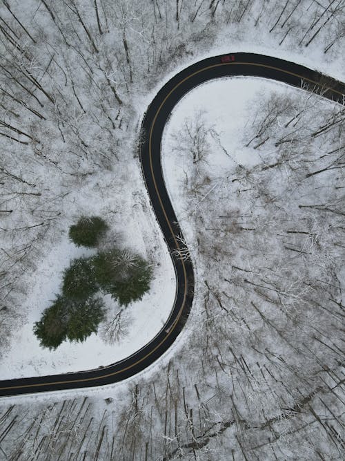 Birds Eye View of Curvy Road Going Through a Forest in Winter