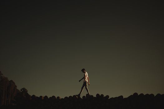 A person silhouetted in twilight walking on logs, creating an introspective mood.