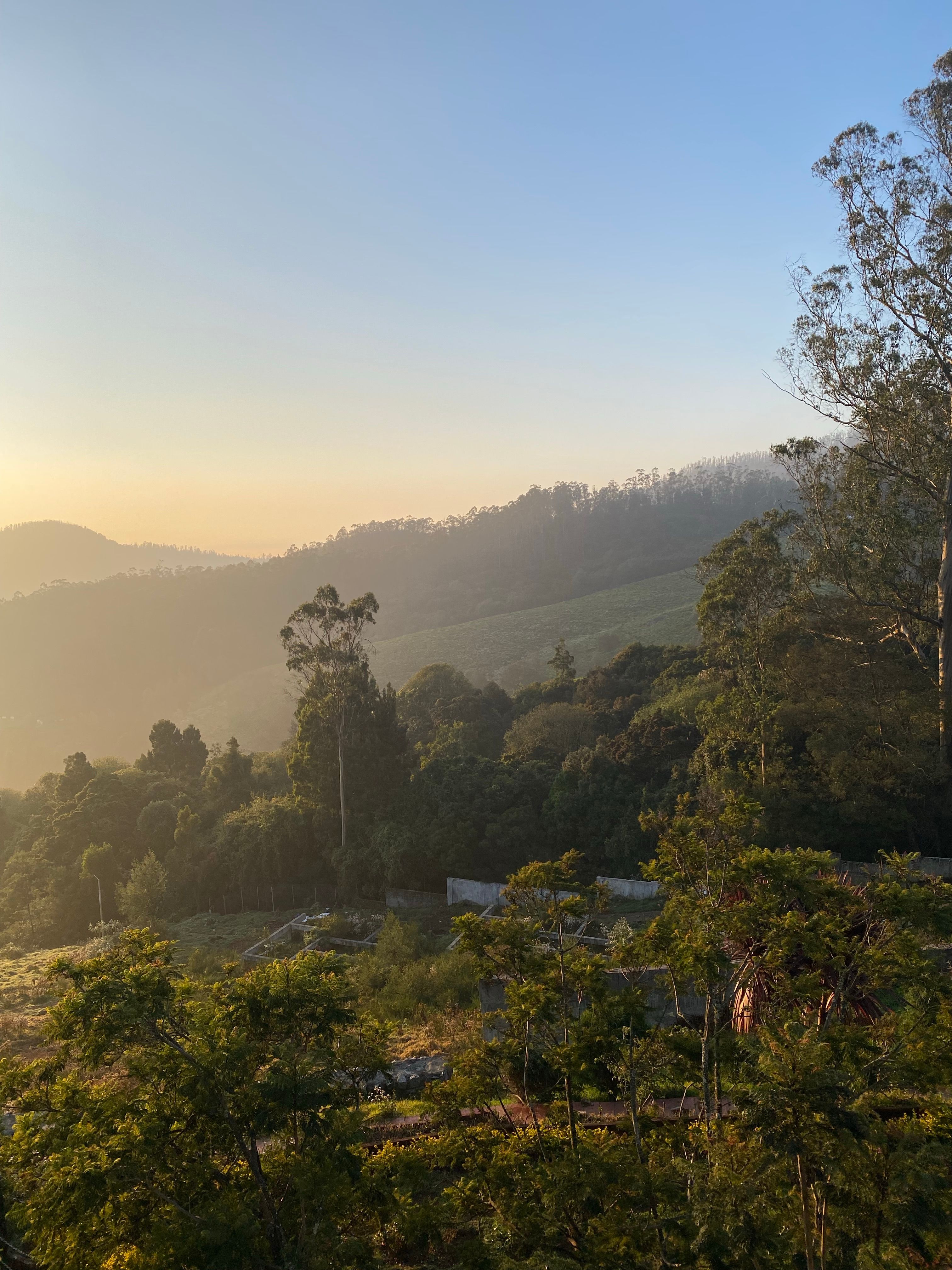 Golden hour over lush Ooty hills