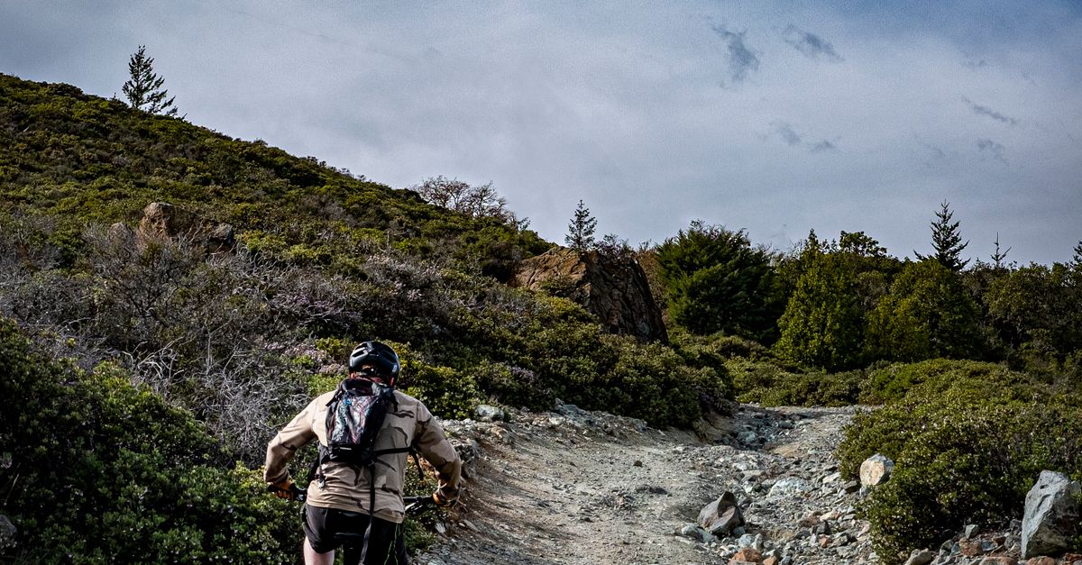 Decathlon Recalls Van Rysel Gravel Bikes Sold at REI Over Loose Front Wheels