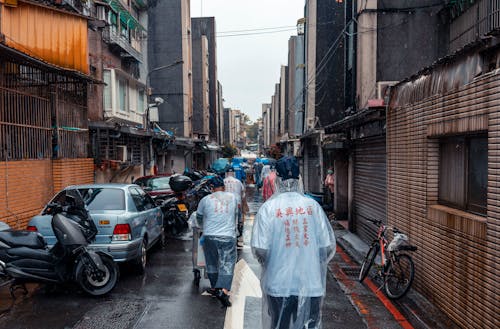 People Walking on the Street While Wearing Raincoats