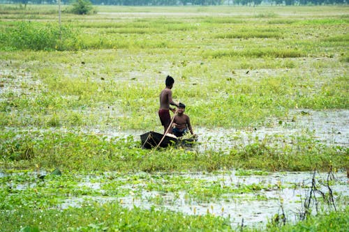 Photos gratuites de bateau, campagne, enfant indien