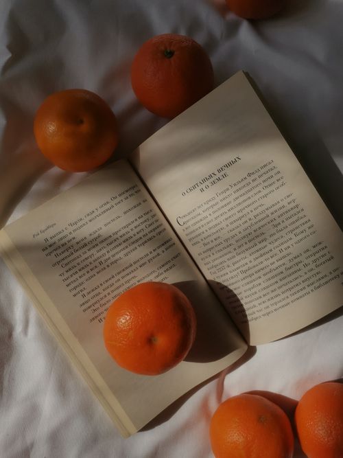 Free Aesthetic still life of an open book and oranges on a soft surface in natural light. Stock Photo
