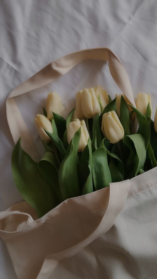 Free A bouquet of cream tulips elegantly placed in a natural canvas bag, showcasing floral beauty. Stock Photo